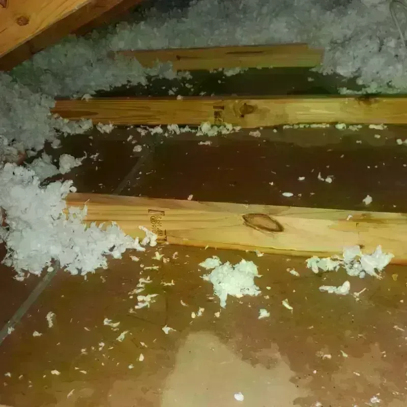 Attic Water Damage in Vernon Parish, LA